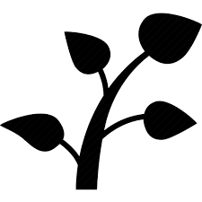 bw-plant-09.png