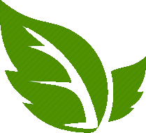 plant-02-02.png