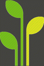 plant-06t.png