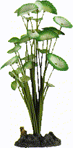 plant-14t.png