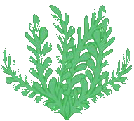 plant2.png