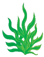 plant3.png