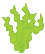 plant4.png