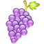 grape_64.png