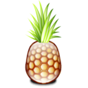 pineapple_128.png